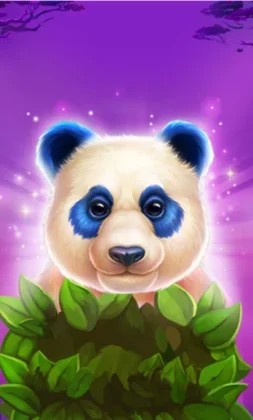 Luck of Panda: Bonus Combo